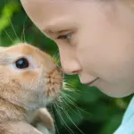 Coniglio Nano: come tenerlo?