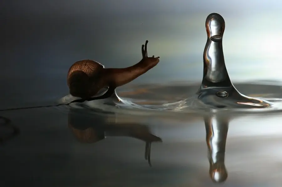 Proprietà della bava di lumaca