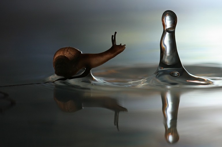 Proprietà della bava di lumaca